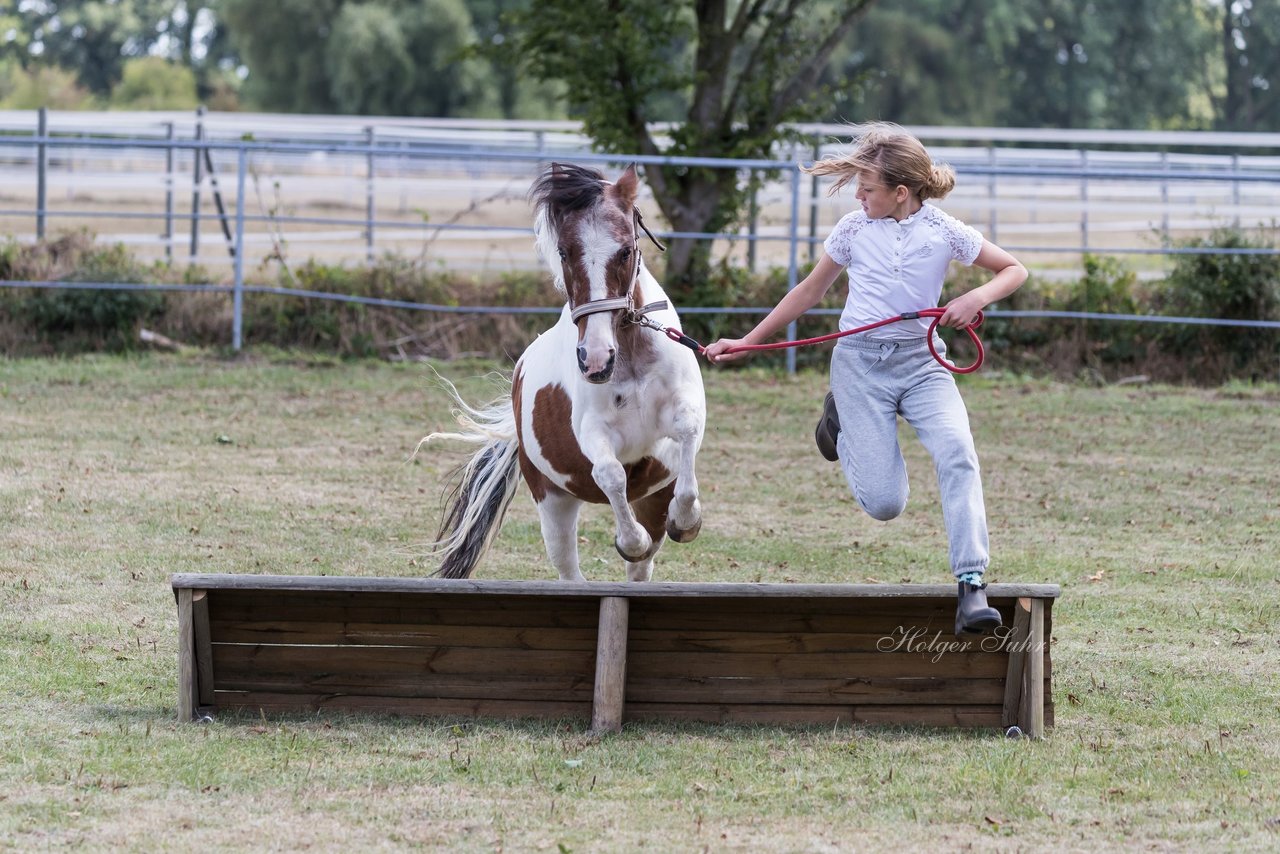 Bild 32 - Pony Akademie Turnier